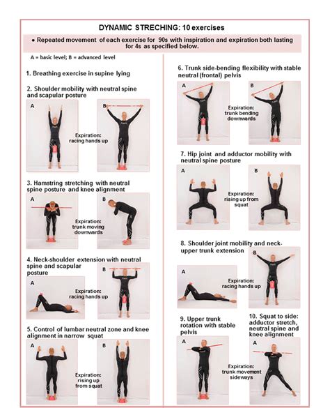 ilbnc|Spine Exercise Library .